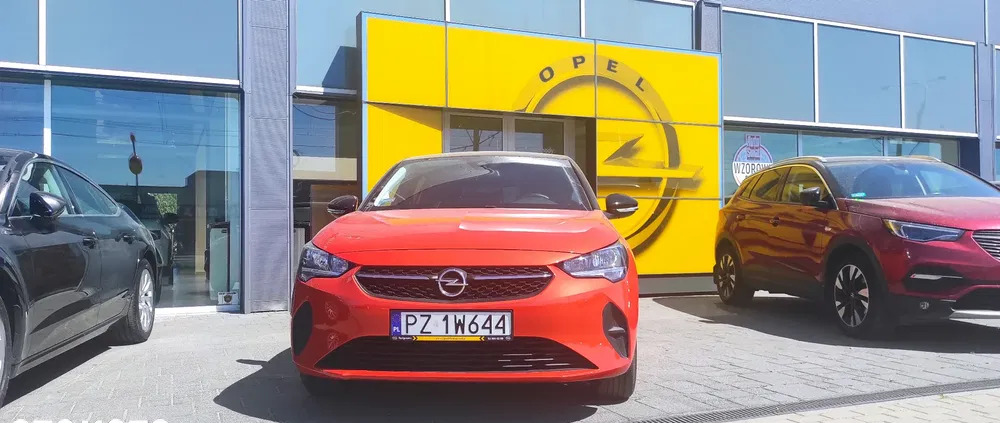 samochody osobowe Opel Corsa cena 57900 przebieg: 10000, rok produkcji 2022 z Szklarska Poręba